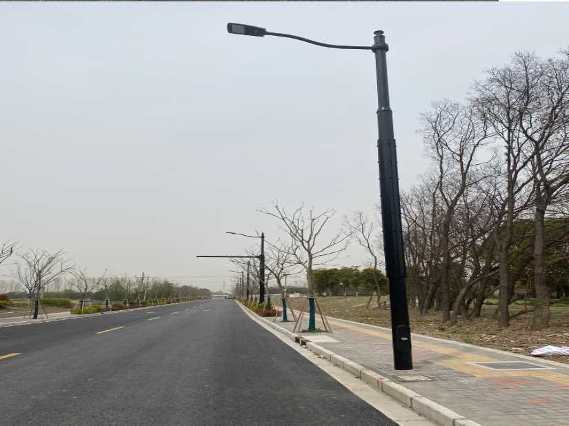 永泰县上海综合杆 太阳能路灯工程
